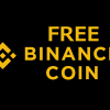 「Free BinanceCoin」最大＄３００のBNBコインが当たるルーレット！