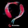「Koindex」XEX Day (1日目）のシステムの不具合のご報告と対応について